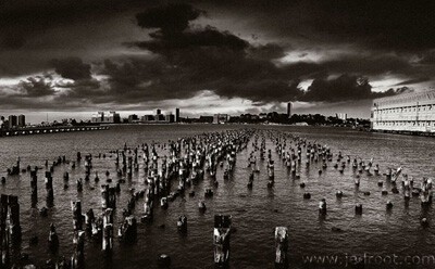 simon procter