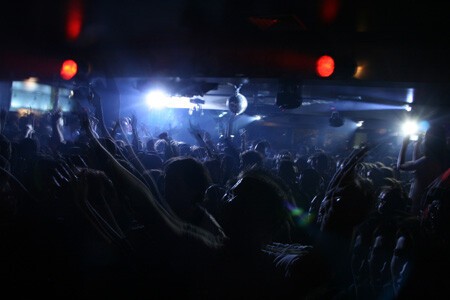 981 festival pics...