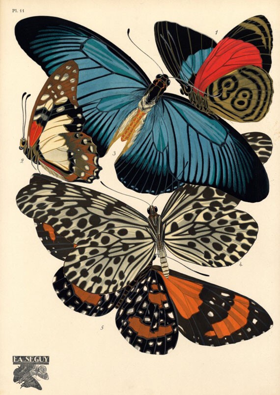 Pattern Bank.