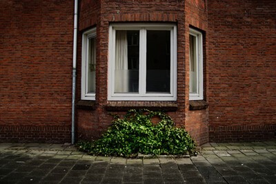 sannah kvist