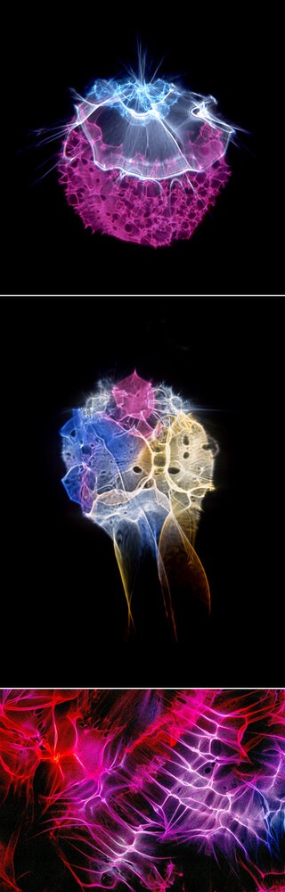 reciprocity
