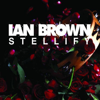 stellify, ian brown