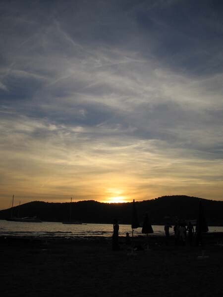 pure shores