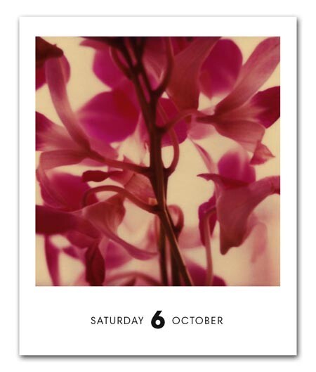 polaroid calendar