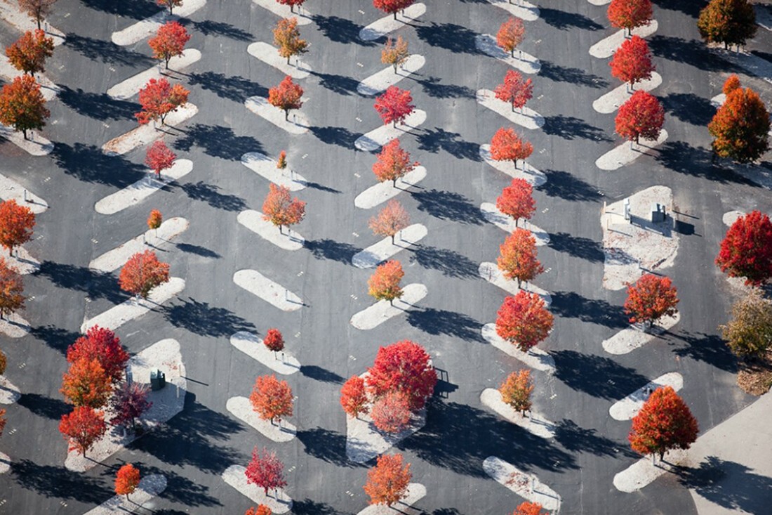 Alex S. MacLean.