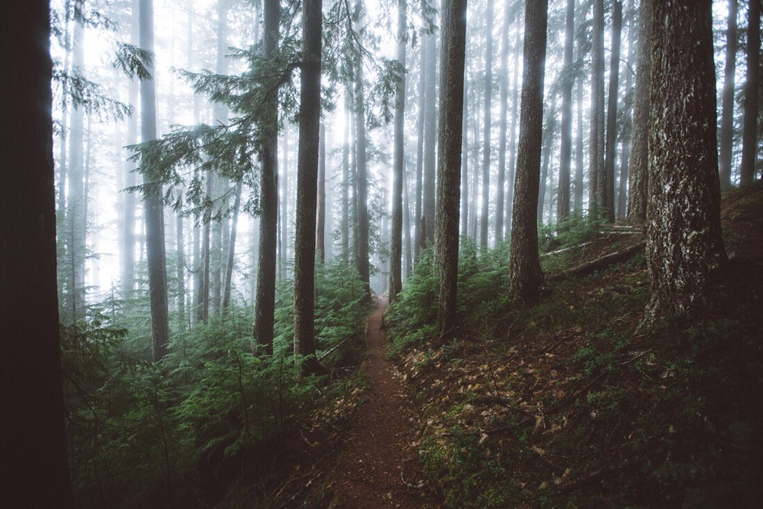 Sam Elkins.