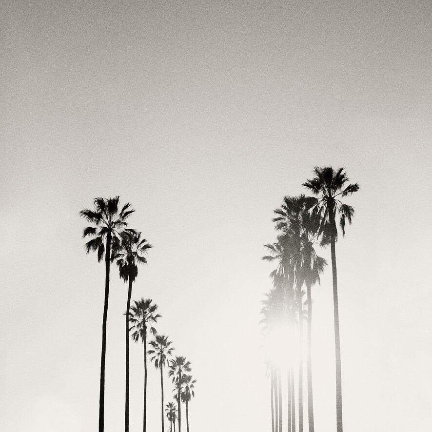 Edwin Tse.