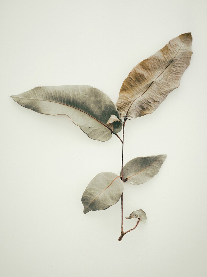Jared Fowler.