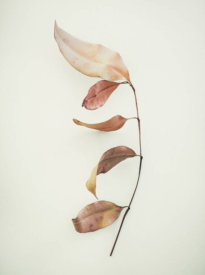 Jared Fowler.