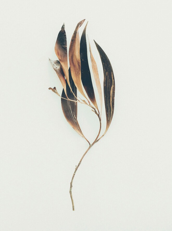 Jared Fowler.