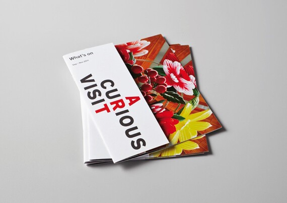 New Zealand Best Graphic Design.