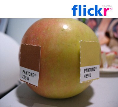pantone