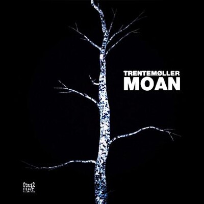 trentemøller: moan (vocal remix ft. ane trolle)