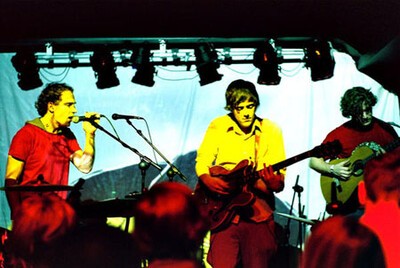 caribou, sun