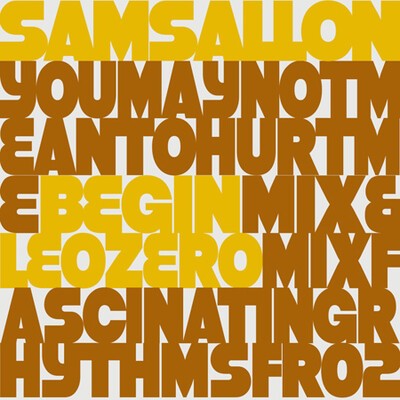 sam sallon - you may not mean to hurt me (leo zero mix) 
