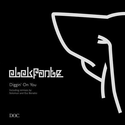 Elekfantz - "Diggin' On You"  