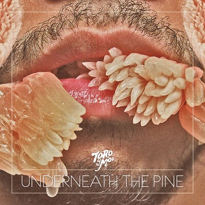 Toro Y Moi, "Still Sound" (Xinobi Remix) 